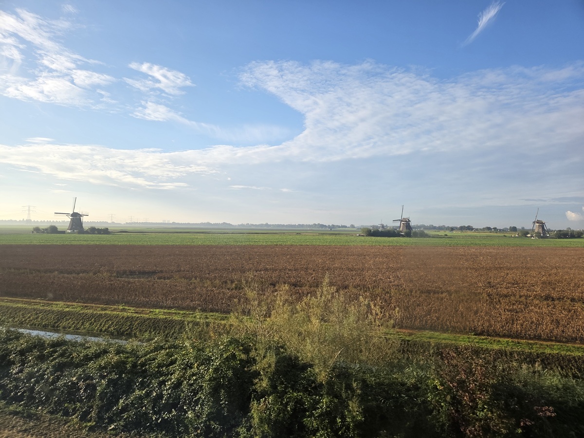 Van blokkade naar beleid – NL uit het stikstofmoeras