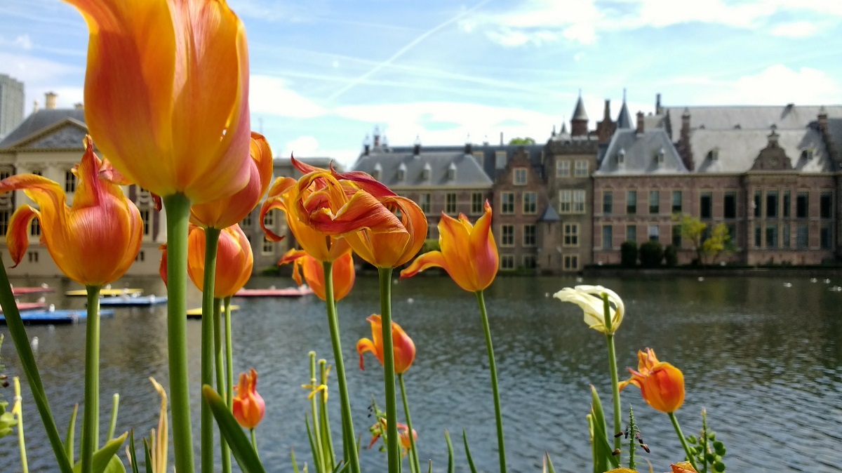 Congres Cultuurdefensie